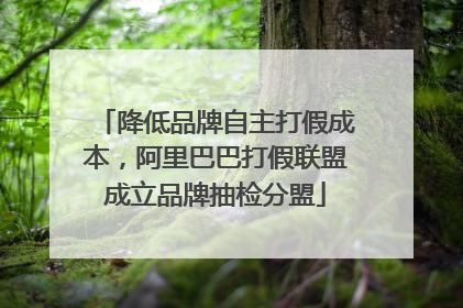 降低品牌自主打假成本，阿里巴巴打假联盟成立品牌抽检分盟