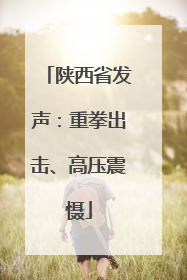 陕西省发声：重拳出击、高压震慑