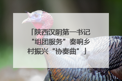 陕西汉阴第一书记“组团服务”奏响乡村振兴“协奏曲”