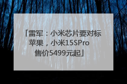 雷军：小米芯片要对标苹果，小米15SPro售价5499元起