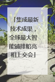 集成最新技术成果，全球最大智能铺排船亮相上交会
