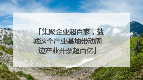 集聚企业超百家，盐城这个产业基地带动周边产业开票超百亿