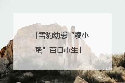 雪豹幼崽“凌小蛰”百日重生