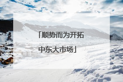 顺势而为开拓中东大市场