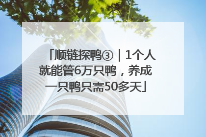 顺链探鸭③｜1个人就能管6万只鸭，养成一只鸭只需50多天