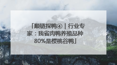 顺链探鸭④｜行业专家：我省肉鸭养殖品种80%是樱桃谷鸭