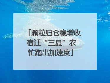 颗粒归仓稳增收 宿迁“三夏”农忙跑出加速度