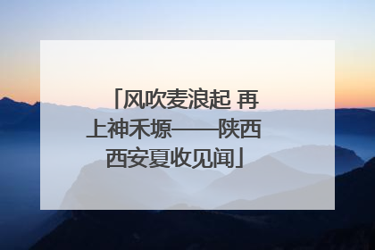 风吹麦浪起 再上神禾塬——陕西西安夏收见闻