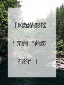 风起倩影摇！荆州“荷您有约”