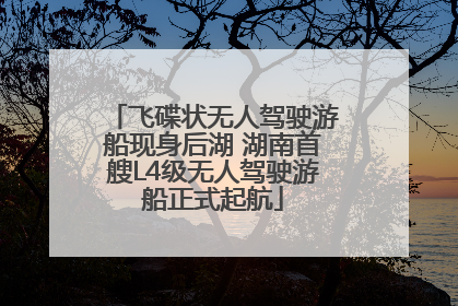 飞碟状无人驾驶游船现身后湖 湖南首艘L4级无人驾驶游船正式起航