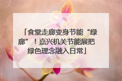 食堂走廊变身节能“绿廊”！嘉兴机关节能展把绿色理念融入日常