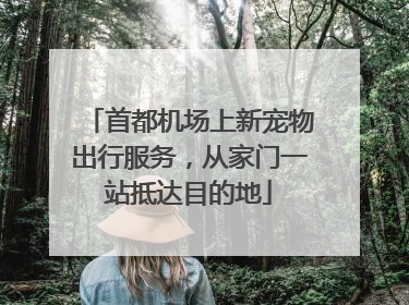 首都机场上新宠物出行服务，从家门一站抵达目的地