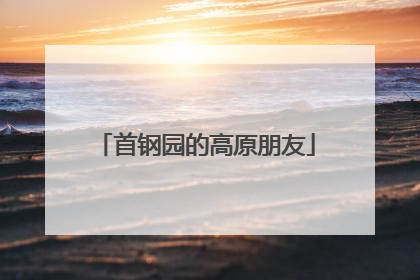 首钢园的高原朋友