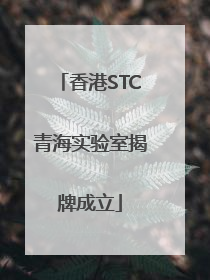 香港STC青海实验室揭牌成立