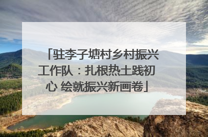 驻李子塘村乡村振兴工作队：扎根热土践初心 绘就振兴新画卷