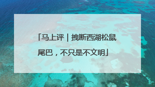 马上评｜拽断西湖松鼠尾巴，不只是不文明
