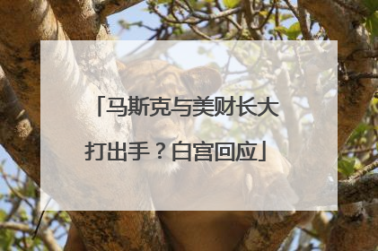 马斯克与美财长大打出手？白宫回应