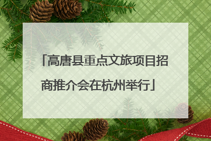 高唐县重点文旅项目招商推介会在杭州举行