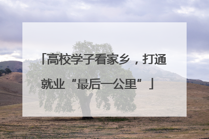 高校学子看家乡，打通就业“最后一公里”