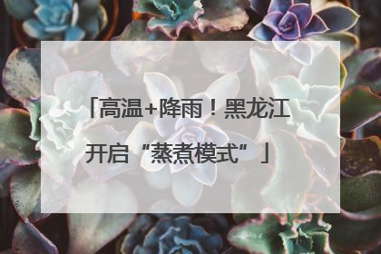 高温+降雨！黑龙江开启“蒸煮模式”