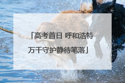 高考首日 呼和浩特万千守护静待笔落