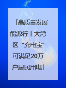 高质量发展能源行丨大湾区“充电宝”可满足20万户居民用电