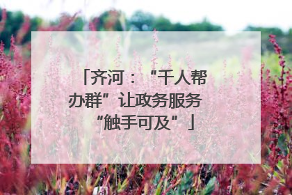 齐河：“千人帮办群”让政务服务“触手可及”