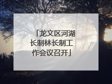 龙文区河湖长制林长制工作会议召开