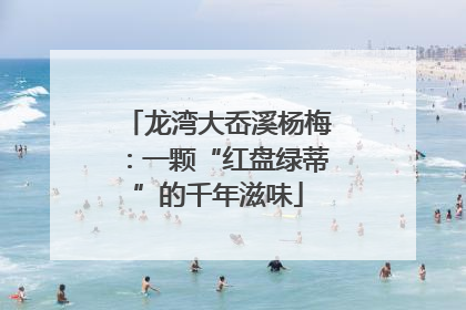 龙湾大岙溪杨梅：一颗“红盘绿蒂”的千年滋味