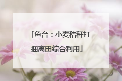 鱼台：小麦秸秆打捆离田综合利用