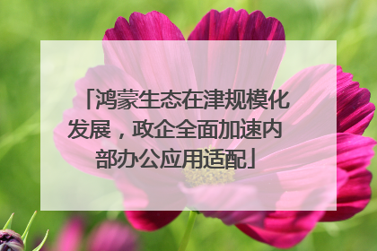 鸿蒙生态在津规模化发展，政企全面加速内部办公应用适配