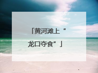 黄河滩上“龙口夺食”