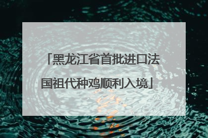 黑龙江省首批进口法国祖代种鸡顺利入境