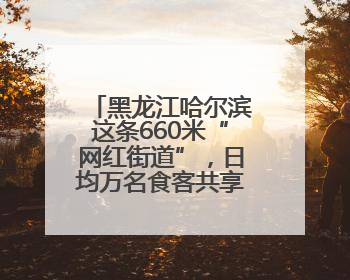 黑龙江哈尔滨这条660米“网红街道”，日均万名食客共享“平安滋味”