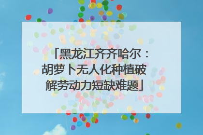 黑龙江齐齐哈尔：胡萝卜无人化种植破解劳动力短缺难题