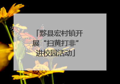 黟县宏村镇开展“扫黄打非”进校园活动