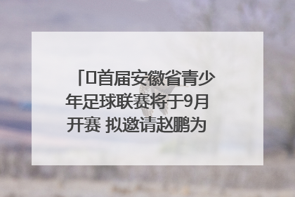 ﻿首届安徽省青少年足球联赛将于9月开赛 拟邀请赵鹏为先导赛开球