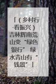 （乡村行·看振兴）吉林辉南荒山变“绿色银行” 绿水青山有“钱景”