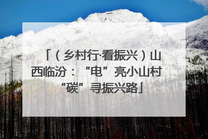 （乡村行·看振兴）山西临汾：“电”亮小山村 “碳”寻振兴路