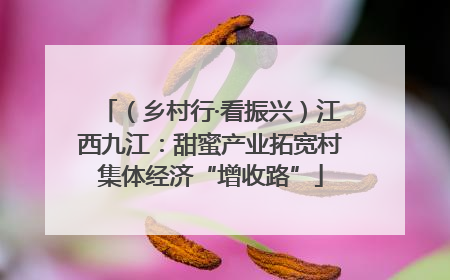 （乡村行·看振兴）江西九江：甜蜜产业拓宽村集体经济“增收路”