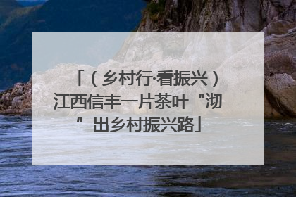 （乡村行·看振兴）江西信丰一片茶叶“沏”出乡村振兴路