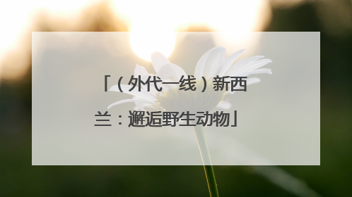 （外代一线）新西兰：邂逅野生动物