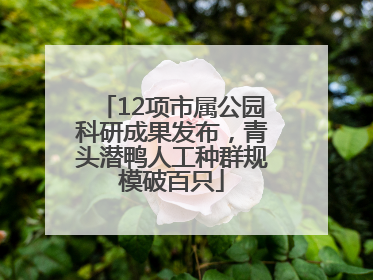 12项市属公园科研成果发布，青头潜鸭人工种群规模破百只