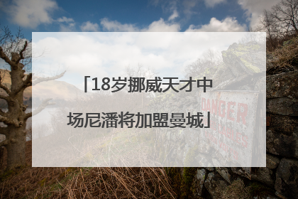 18岁挪威天才中场尼潘将加盟曼城