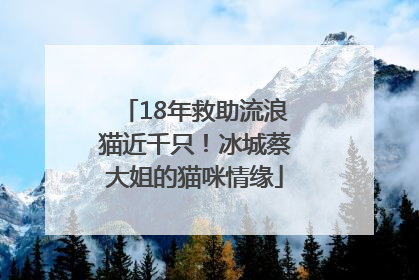 18年救助流浪猫近千只！冰城蔡大姐的猫咪情缘