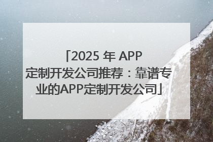 2025 年 APP 定制开发公司推荐：靠谱专业的APP定制开发公司