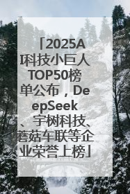 2025AI科技小巨人TOP50榜单公布，DeepSeek、宇树科技、蘑菇车联等企业荣誉上榜