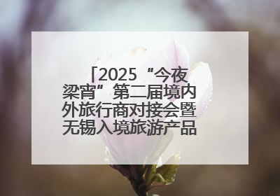 2025“今夜梁宵”第二届境内外旅行商对接会暨无锡入境旅游产品推介会成功举办