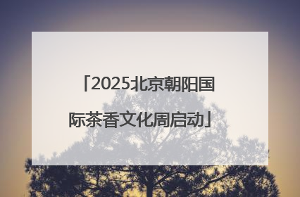 2025北京朝阳国际茶香文化周启动