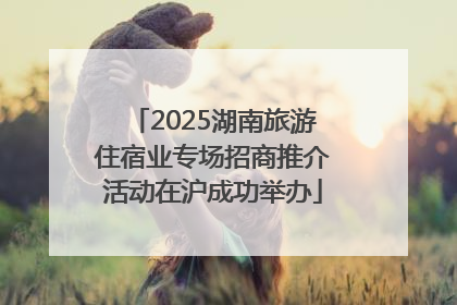2025湖南旅游住宿业专场招商推介活动在沪成功举办